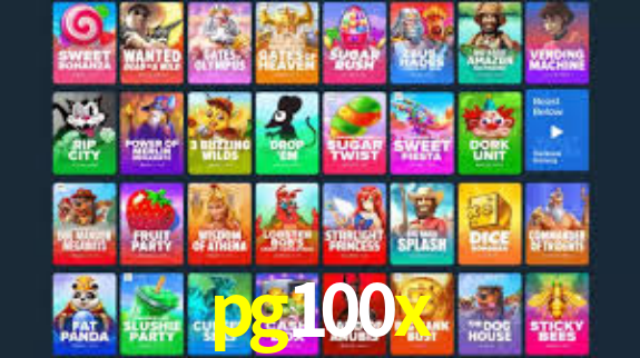 pg100x App Interface